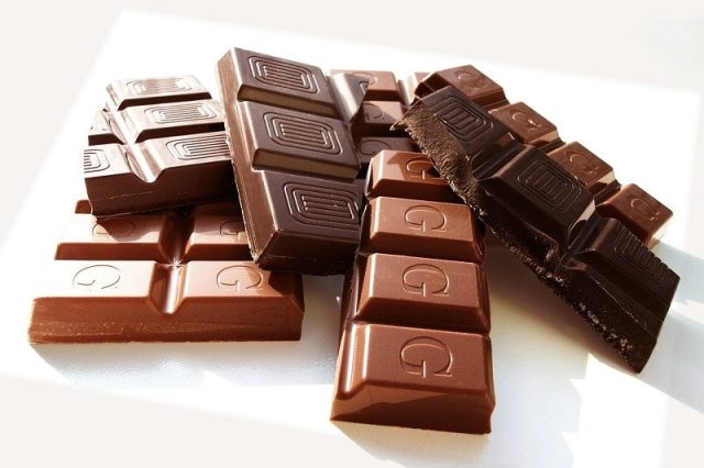 Peuvent-ils vraiment manger du chocolat ? Les cacatoès face à la tentation sucrée : les révélations d'un expert !