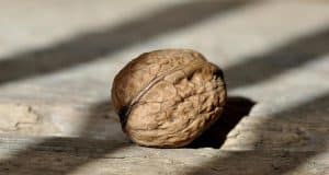 Les bienfaits santé des noix : un stimulant naturel à découvrir Les bienfaits santé des noix : un stimulant naturel à découvrir