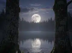 Pleine lune du loup : entre traditions, astronomie et phénomènes exceptionnels Pleine lune du loup 2026