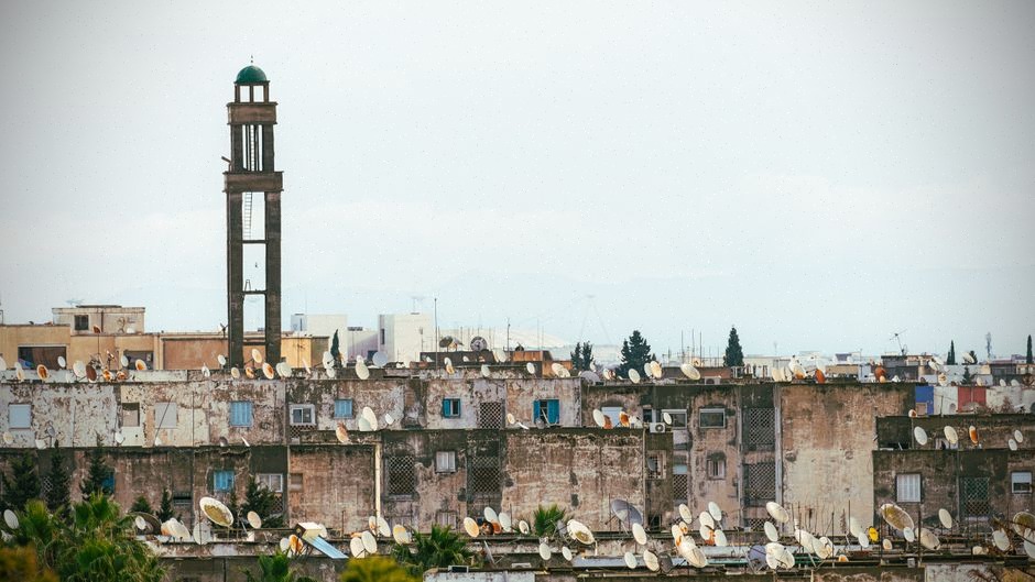Exploitation avicole tunisienne touchée par les coupures d’électricité près de Tunis