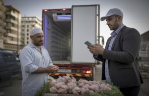 90% des volailles périssent, des milliers de litres de lait jetés, poisson qui double, ce que la Tunisie affronte 90% des volailles périssent, des milliers de litres de lait jetés, poisson qui double, ce que la Tunisie affronte