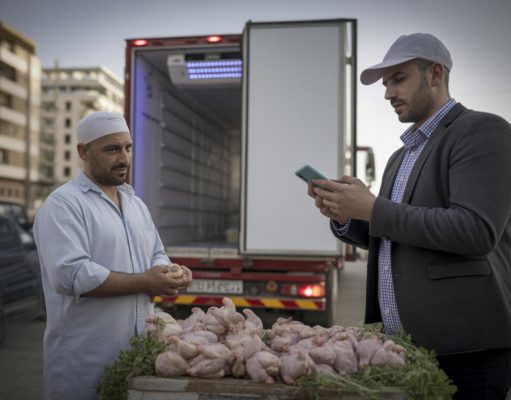 90% des volailles périssent, des milliers de litres de lait jetés, poisson qui double, ce que la Tunisie affronte 90% des volailles périssent, des milliers de litres de lait jetés, poisson qui double, ce que la Tunisie affronte